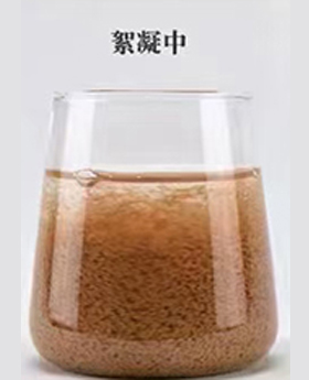 氨氮去除剂处理加药中